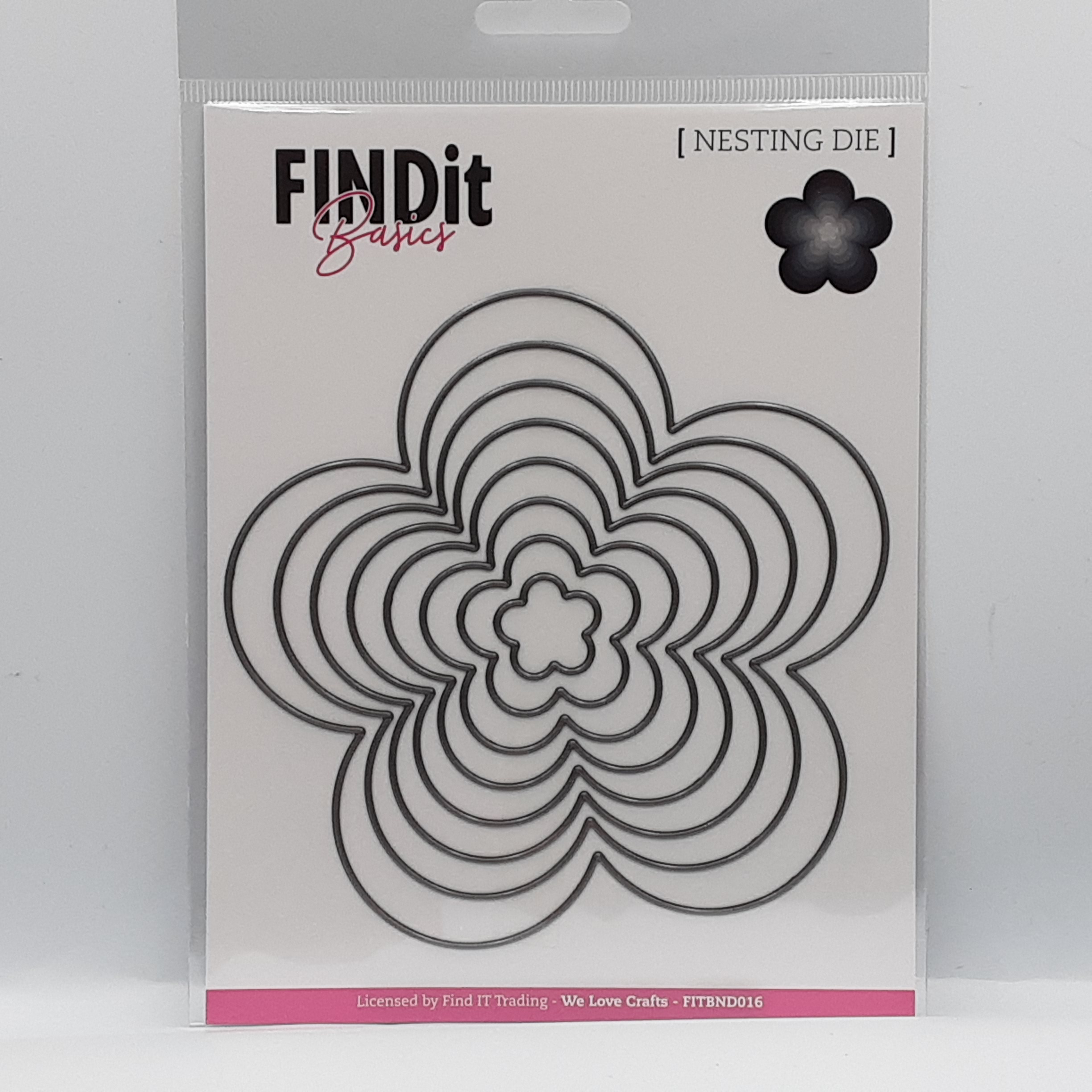 Stansmal bloom flower 16