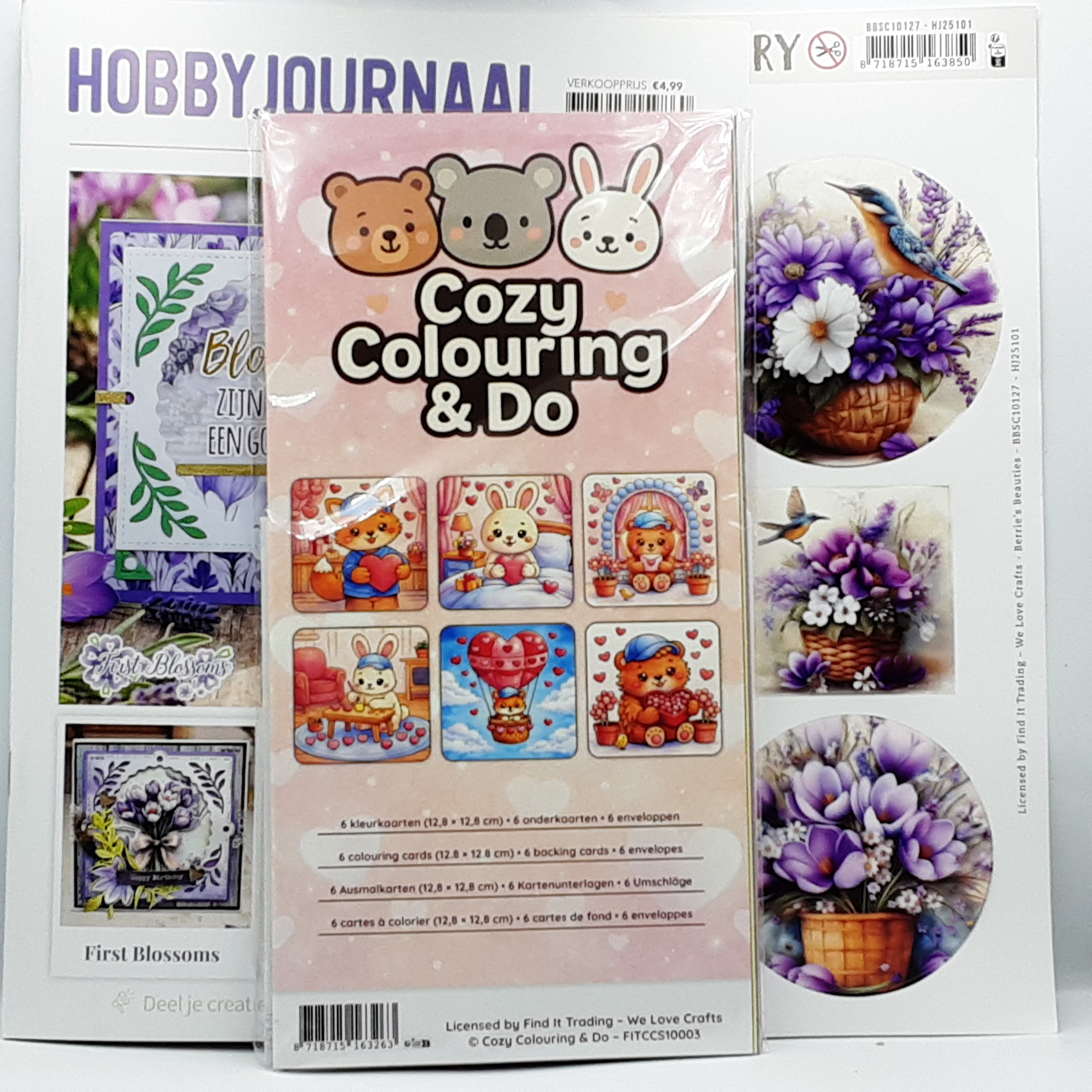 Hobbyjournaal set 251